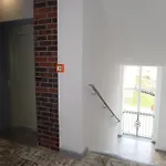 Apartment Bege Studio